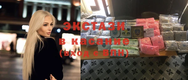 хмурый Ельня