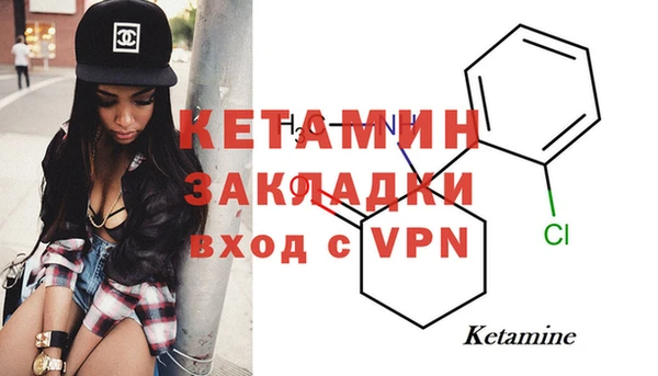 хмурый Ельня
