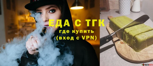 хмурый Ельня