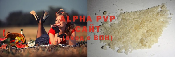 хмурый Ельня