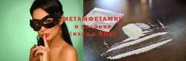 хмурый Ельня
