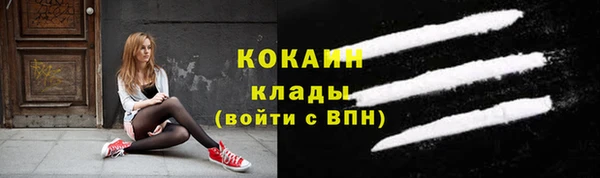 хмурый Ельня