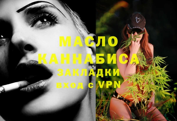 хмурый Ельня