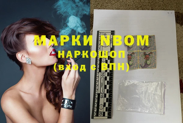 хмурый Ельня