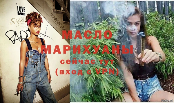 хмурый Ельня
