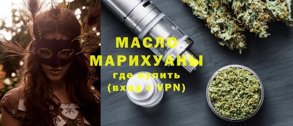 хмурый Ельня
