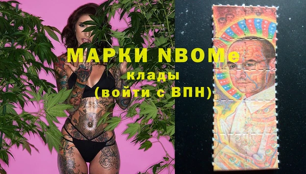 хмурый Ельня