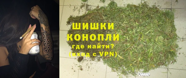 хмурый Ельня