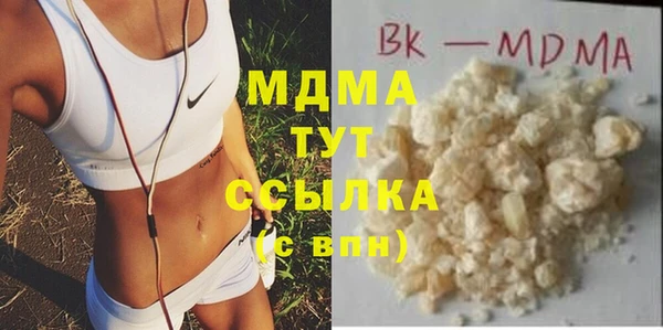 хмурый Ельня